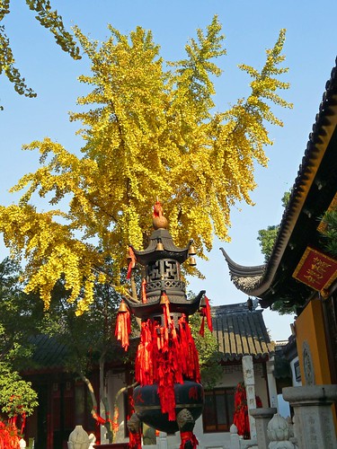 HanShan Temple5