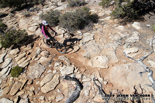 Inga negotiates a section of trail on the Little Creek Mesa. Photo: Jason Van Horn