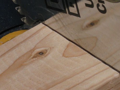fat bird appears in 2x4 and reflection