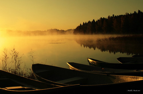 Boats in the Early morning