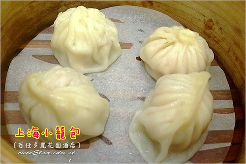 DSCF0742