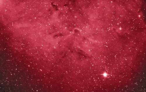 The Garnet Star Nebula in Ha