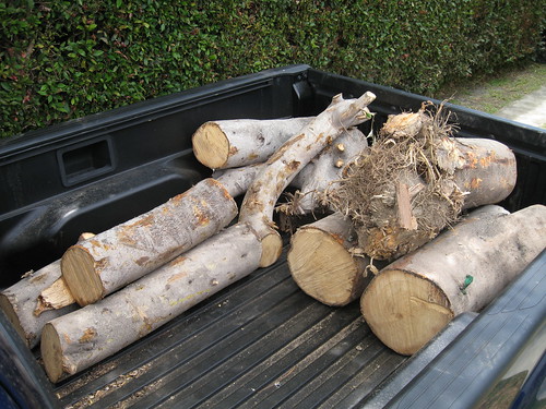 more fig logs in my truck