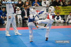 2017 US World Open Taekwondo Championships