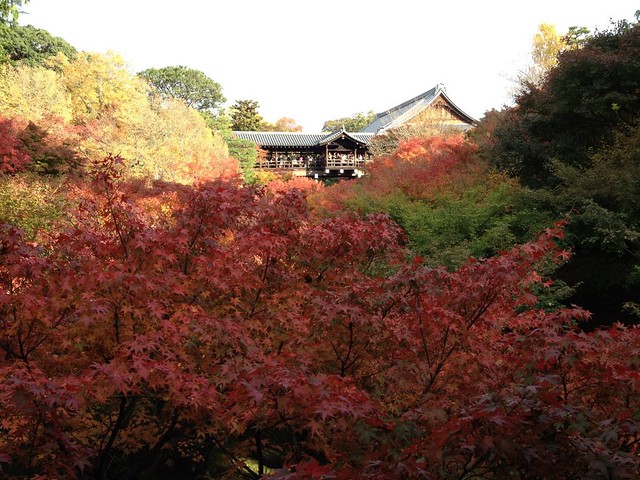 東福寺にて嵐山と匹敵するほどの紅葉を見る｜大本山東福寺