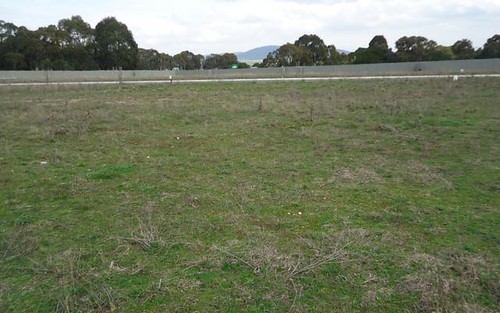 Lot 102 Manor Hills off Surry Street, Collector NSW 2581