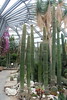 Botanischer Garten Berlin • <a style="font-size:0.8em;" href="http://www.flickr.com/photos/25397586@N00/19581295859/" target="_blank">View on Flickr</a>