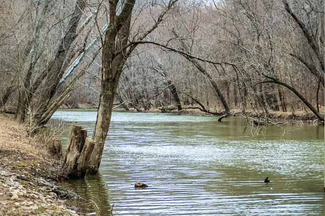 Charlestown State Park - Fourteenmile Creek - March 18, 2014