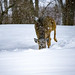 Deer in Snow • <a style="font-size:0.8em;" href="http://www.flickr.com/photos/124671209@N02/33747117681/" target="_blank">View on Flickr</a>