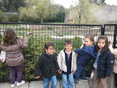 orvalle-infantil-zoo8 (2)