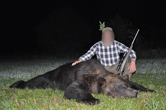 Bear Hunted in Estonia