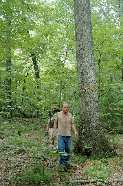 Yellowwood State Forest - July 2005