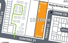 91 Gumtree Street, Runcorn QLD