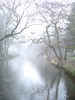 Lugton River from Castle Bridge, Eglinton Park