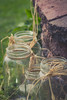 ball jars by aarongilson, on Flickr