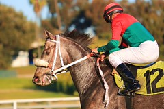 Cuneo & Omar Figueroa