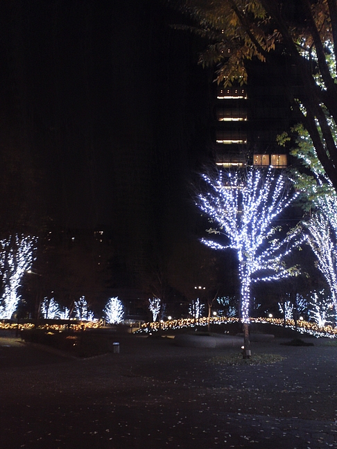 近くのフロントタワー、新宿グランドの木々...