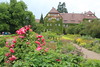 Botanischer Garten Berlin • <a style="font-size:0.8em;" href="http://www.flickr.com/photos/25397586@N00/19145343364/" target="_blank">View on Flickr</a>