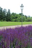 Botanischer Garten Berlin • <a style="font-size:0.8em;" href="http://www.flickr.com/photos/25397586@N00/19767935685/" target="_blank">View on Flickr</a>