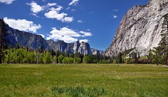Two People Walking in a Meadow Setting (Yosemite National Park)