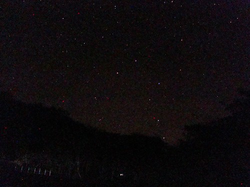 Noches, Palo Verde 2014