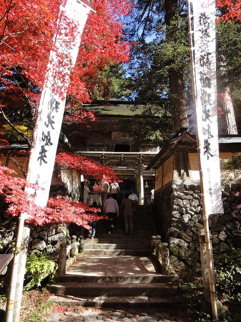 割とこじんまりとしたお寺ですぐに本堂へあがる階段が見えてき。｜両界山横蔵寺