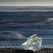 Jökulsárlón Beach, Iceland • <a style="font-size:0.8em;" href="https://www.flickr.com/photos/21540187@N07/12903670303/" target="_blank">View on Flickr</a>