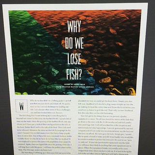The last article in the new issue of Horns & Hooks, done ✌️