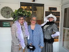LaChat Sisters: Agatha, Edwina, and FiFi • <a style="font-size:0.8em;" href="http://www.flickr.com/photos/72892197@N03/33420878366/" target="_blank">View on Flickr</a>