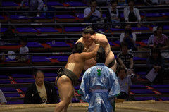 Sumo in action