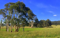 584 Tudor Valley, Braidwood NSW