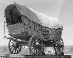 Anglų lietuvių žodynas. Žodis conestoga wagon reiškia conestoga sedanas lietuviškai.