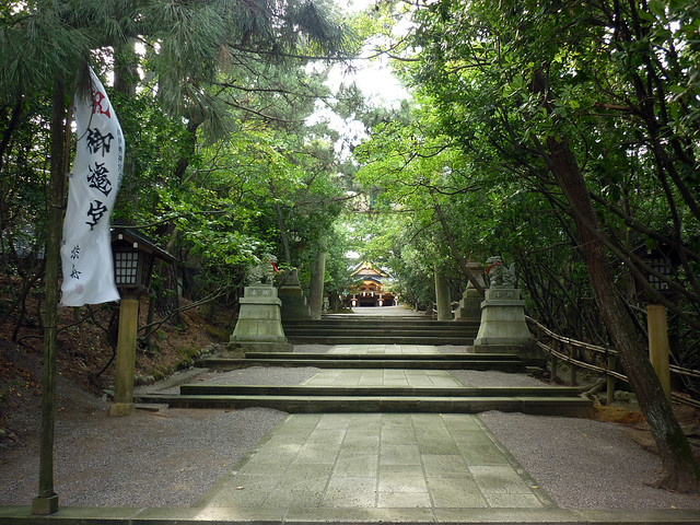 参道の階段を登る途中、足を止めて社殿を正面から見上げた写真。｜安宅住吉神社
