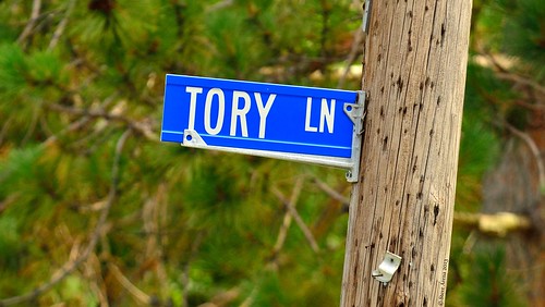 Die 7 besten Bilder auf Nylonic Society - Tory Lane 