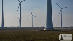 Windräder in Rheinhessen