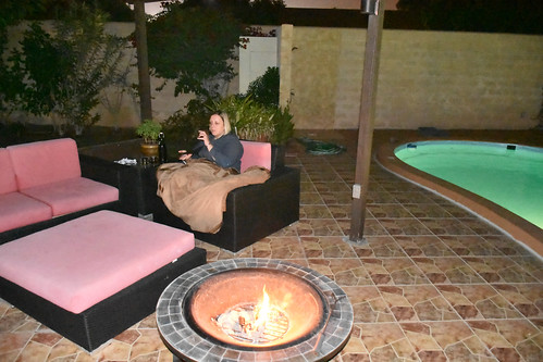 Crystal enjoys the backyard on a brisk evening. • <a style="font-size:0.8em;" href="http://www.flickr.com/photos/96277117@N00/32969493740/" target="_blank">View on Flickr</a>