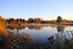 Suburan Retention Pond in Morning, Late October 2013