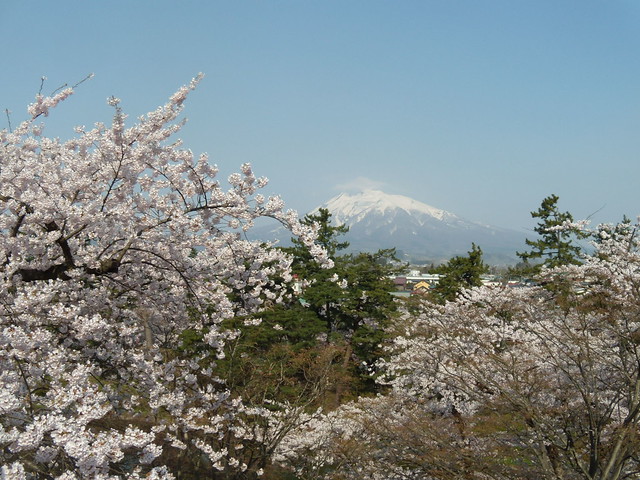 公園からは岩木山を望むこともできます。｜弘前公園