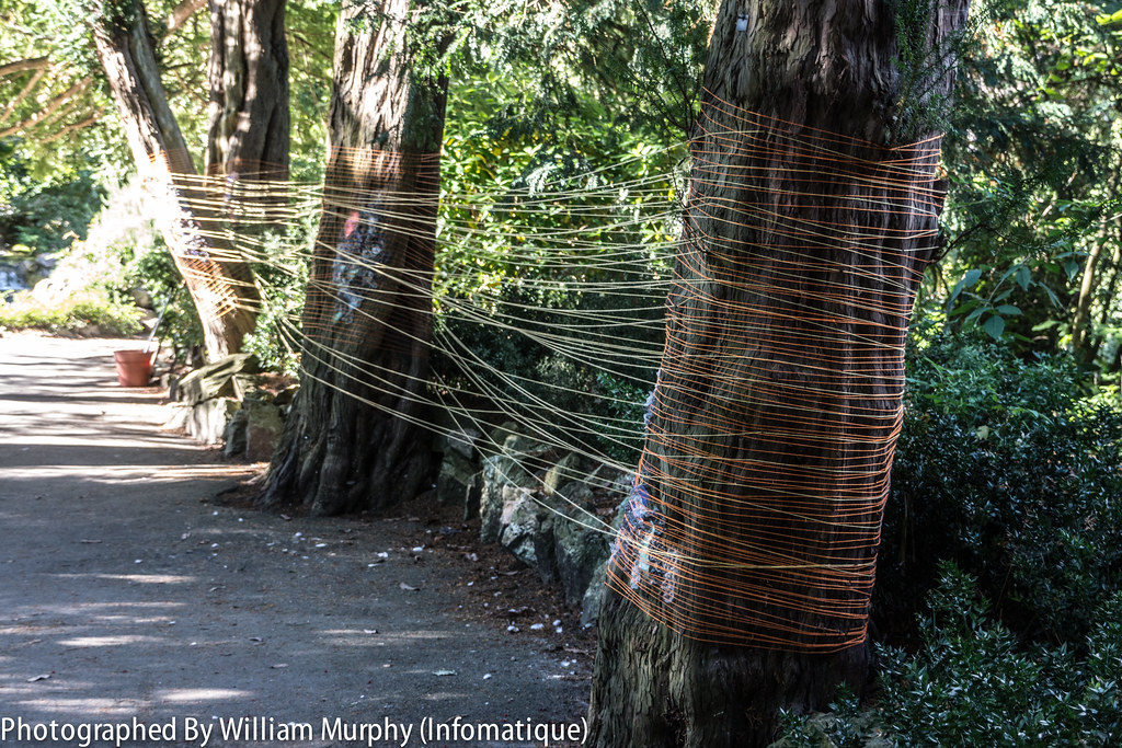 Mapping Textures By Clodagh Evelyn Kelly - Sculpture In Context 2013 In The Botanic Gardens