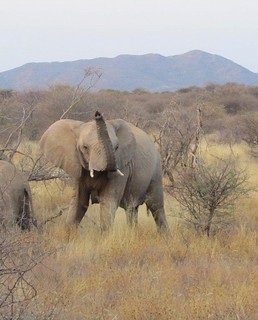 Namibia Photo Safari 4