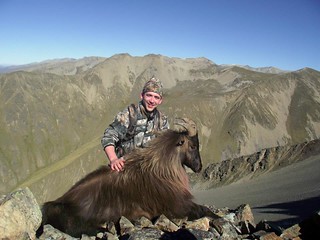 New Zealand Red Stag Hunting - Christchurch 40