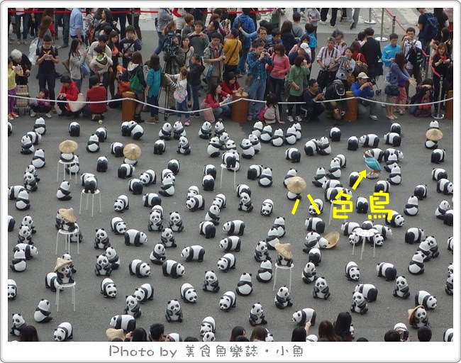 1600貓熊世界之旅‧台北貓熊展‧市政府廣場‧台北探索館 @魚樂分享誌