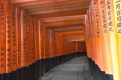 Fushimi Inari Shrine Tunnel