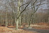 Wanderung Treptower Park - Alt-Köpenick • <a style="font-size:0.8em;" href="http://www.flickr.com/photos/25397586@N00/33010306360/" target="_blank">View on Flickr</a>