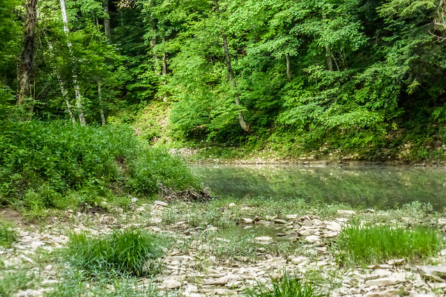 Green's Bluff Nature Preserve - Raccoon Creek - May 30, 2014