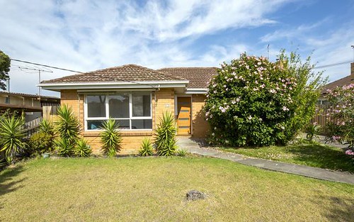 53 Doyle St, Avondale Heights VIC 3034