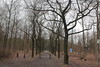 Wanderung Treptower Park - Alt-Köpenick • <a style="font-size:0.8em;" href="http://www.flickr.com/photos/25397586@N00/32550379224/" target="_blank">View on Flickr</a>