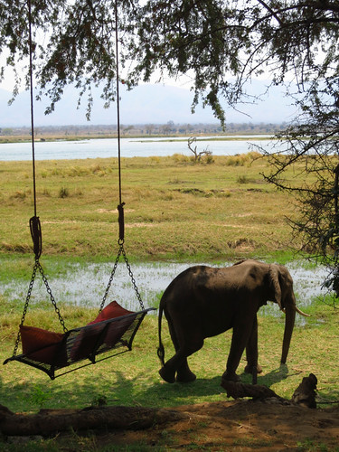 Ruckomechi Safari Camp - Mana Pools National Park - Zimbabwe