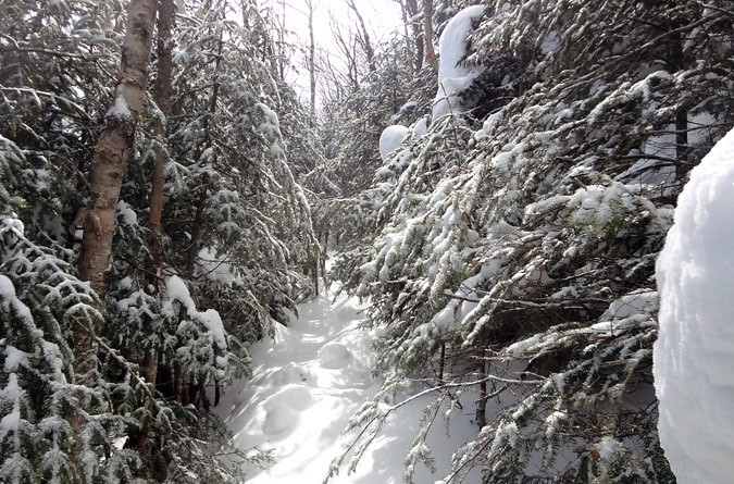 Upper Bondcliff Trail in Winter