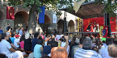 18 August 2013 » Festivalul de Artă Medievală Ștefan cel Mare